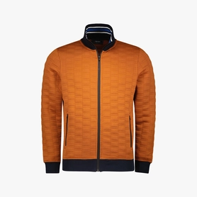 Bartlett Vest