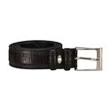 Berkelmans Riem