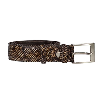 Berkelmans Riem