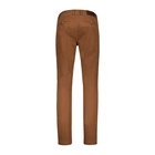 donders-chino