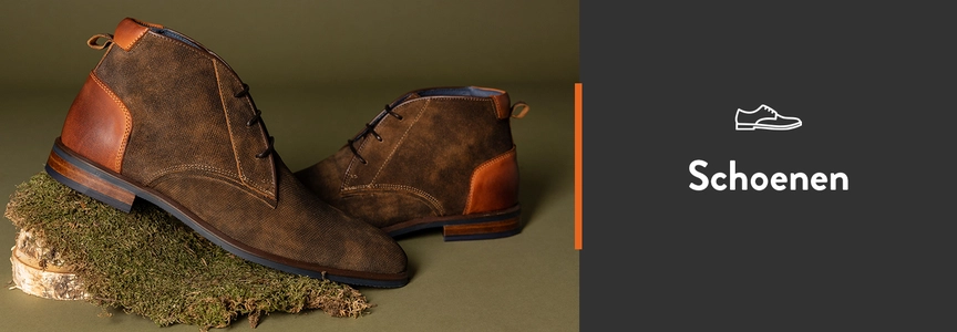 Herenschoenen online kopen Van Dal mannenmode